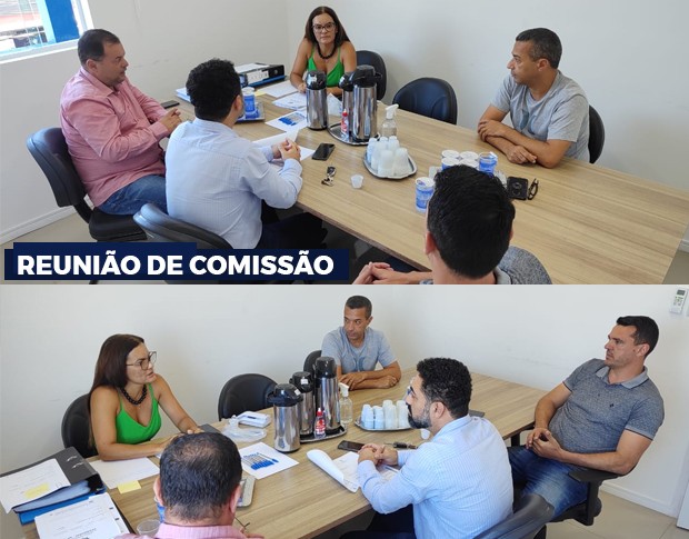 O que é uma “Reunião de Comissão”?